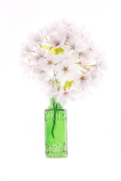 Looney, Hollice 아티스트의 Maryland-Bethesda Green vase with cherry blossoms작품입니다.